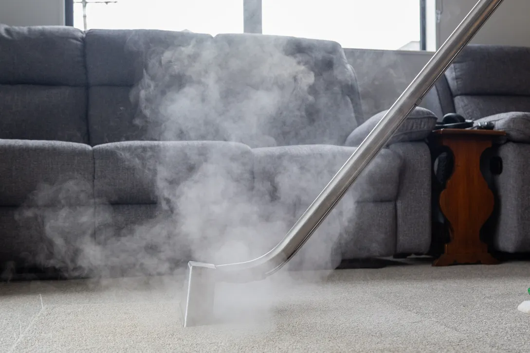 Curated visual reference: Gallery Detail: Professional Carpet Cleaning Auckland