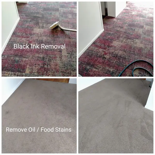 remove carpet stains in auckland region
