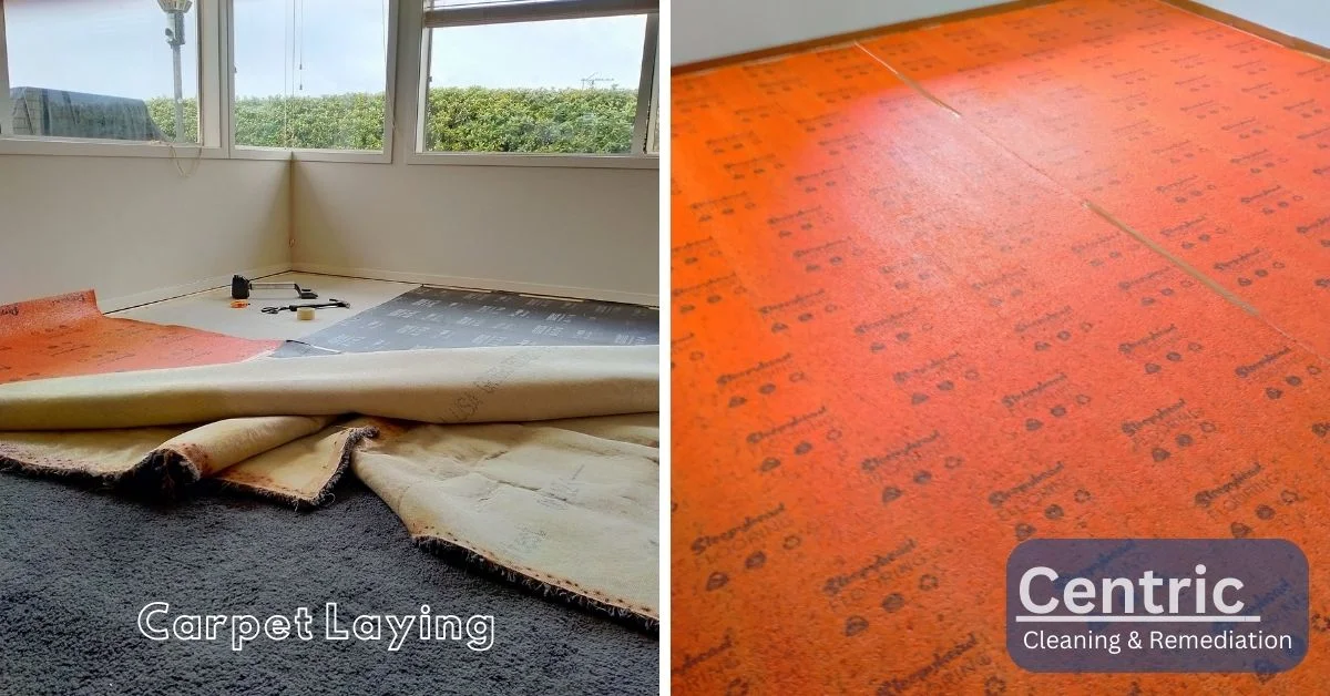 Carpet Repairs and laying work auckland wide