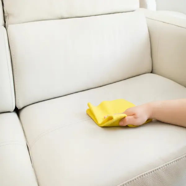 professional cleaning process for upholstery