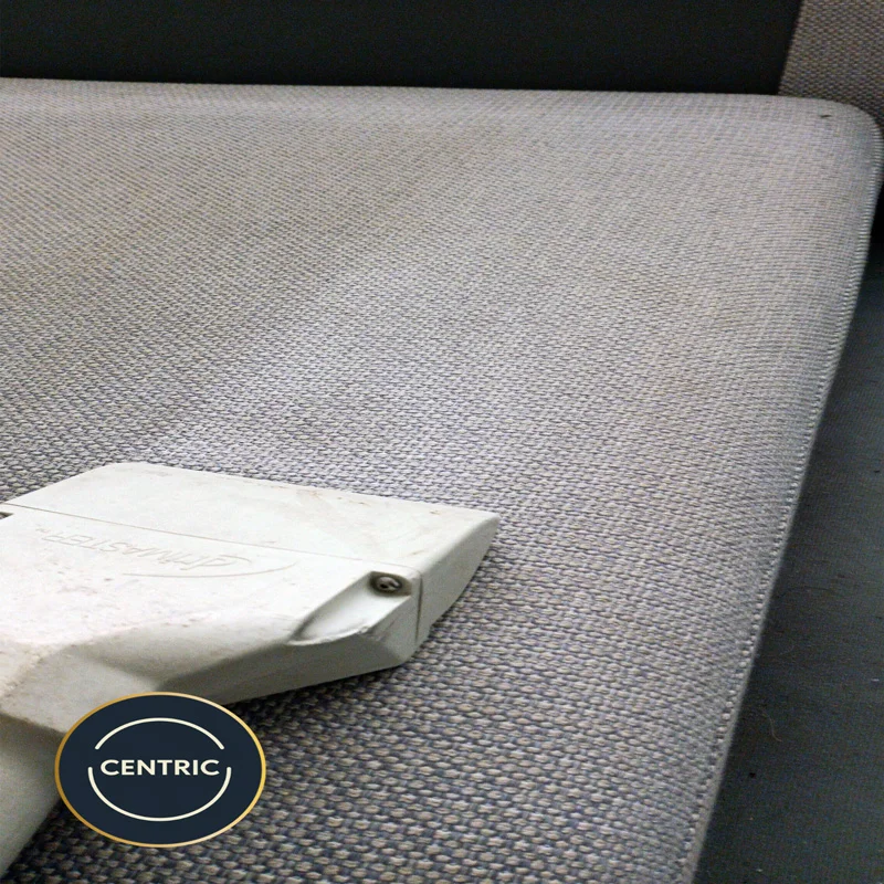  couch cleaning in new lynn auckland