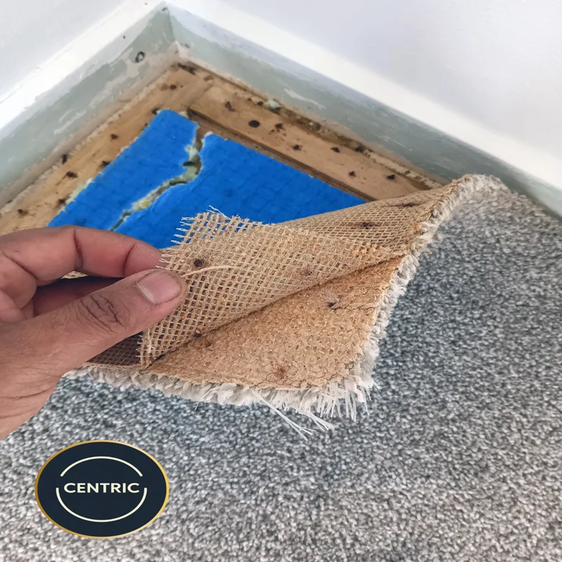 carpet repairs in new lynn auckland