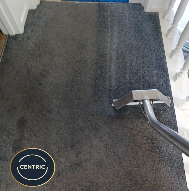 steam carpet cleaning in new lynn auckland