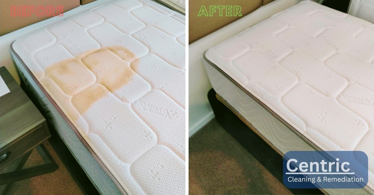 mattress Stain Removal